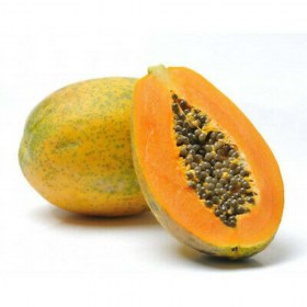 Papaya Solo - Különleges gyümölcstermők az Egzotikus Növények Stúdiója kínálatából